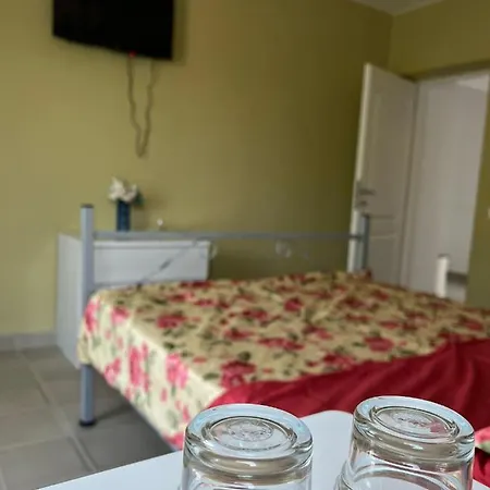 Milan Gazde/Camere de închiriat *